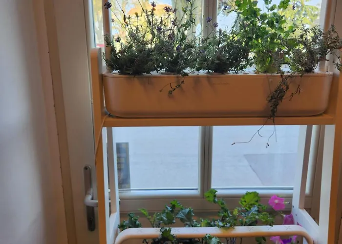 阿姆费提塔酒店 酒店